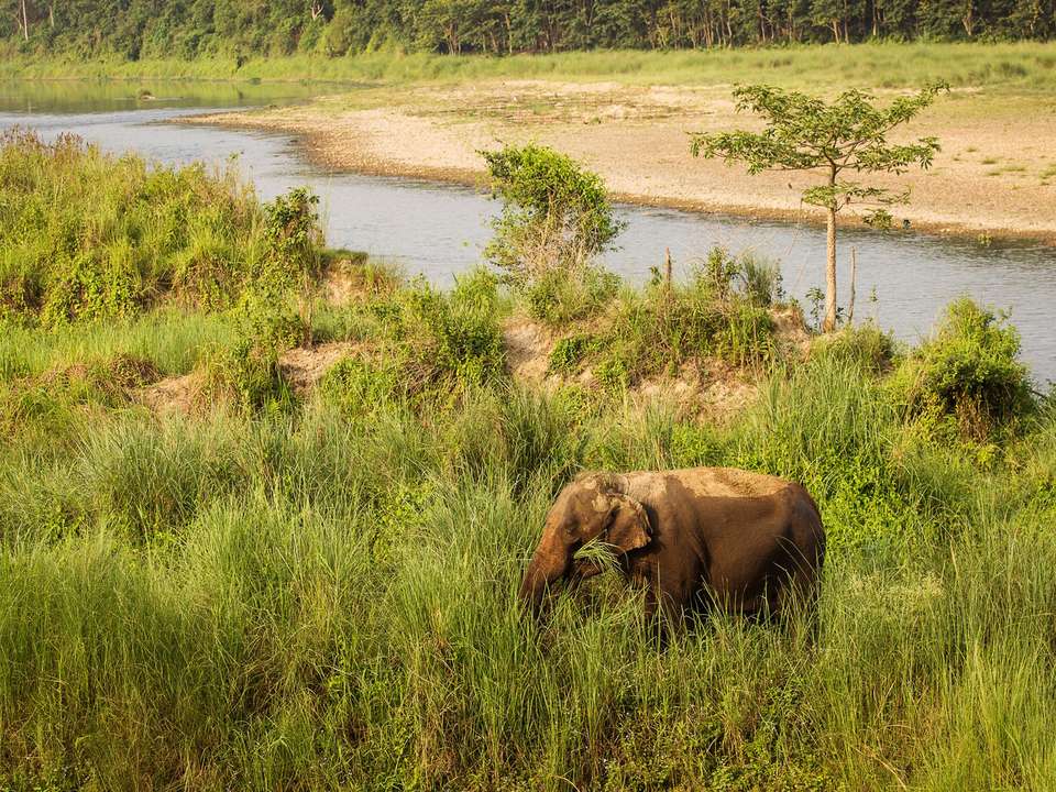 Nepal to Golden Triangle & Goa - 19 days - On The Go Tours - Nepal - Image 2