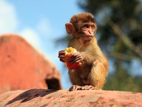 Nepal Uncovered - 8 Days - 8 Days
