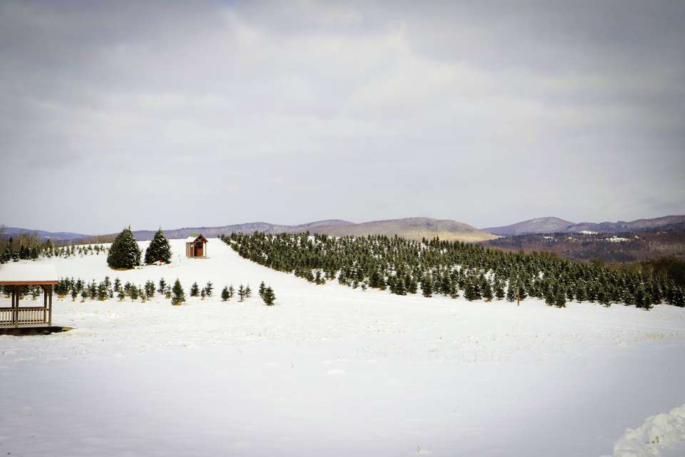 New England Holiday featuring the historic Omni Mount Washington Resort - Collette Tours - USA - Image 3