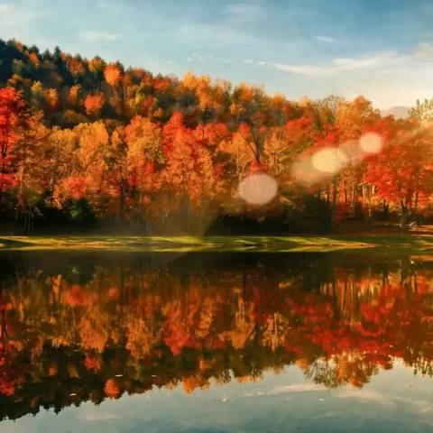 Usa Guided Tours: New England's Fall Foliage