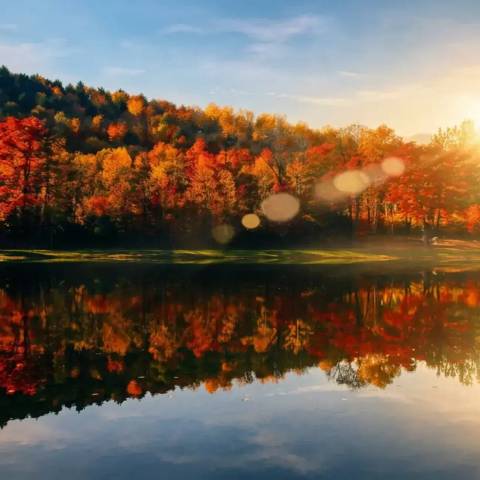 Usa Explorer Tour: New England's Fall Foliage