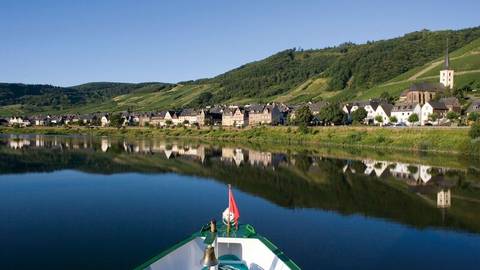 France Eco Tours: New Year On The Romantic Rhine And The Picturesque Moselle (port-to-port Cruise)