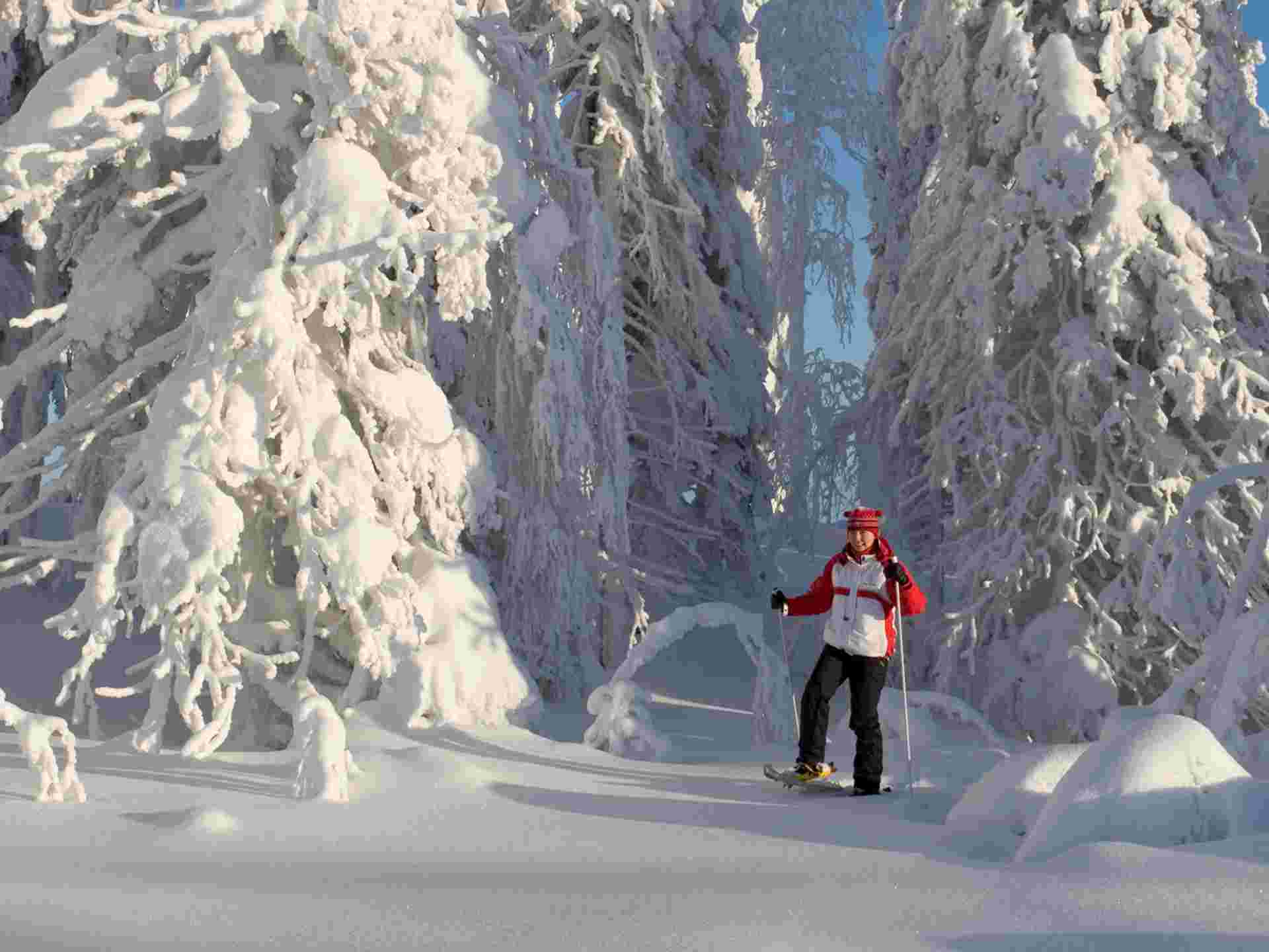 New Year's in Finland - 7 Days