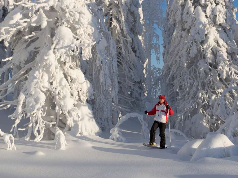 New Year's in Finland - 7 Days trip - alternative tour available