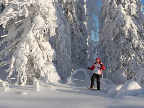 Festivals And Events Tour: New Year's In Finland - 7 Days