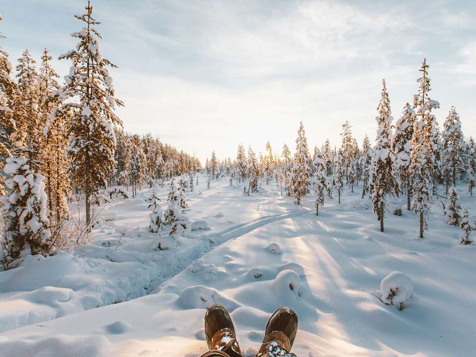 New Year's in Finland - 7 Days - On The Go Tours - Finland - Image 6