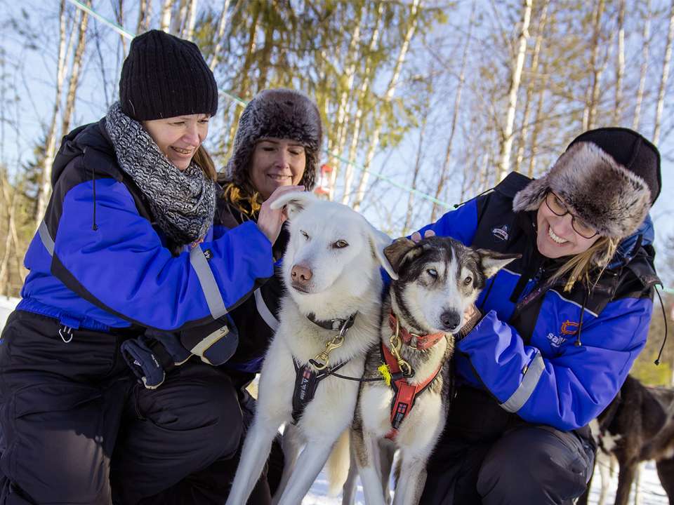 New Year's in Finland Express - 5 days - On The Go Tours - Finland