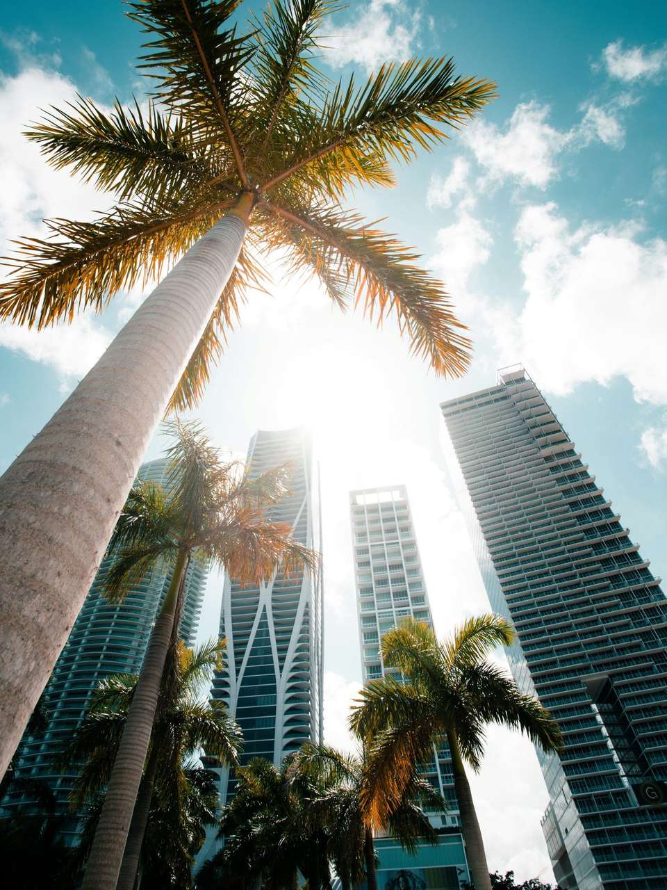 New York to Miami & Orlando - 11 days  - On The Go Tours - USA - Image 5
