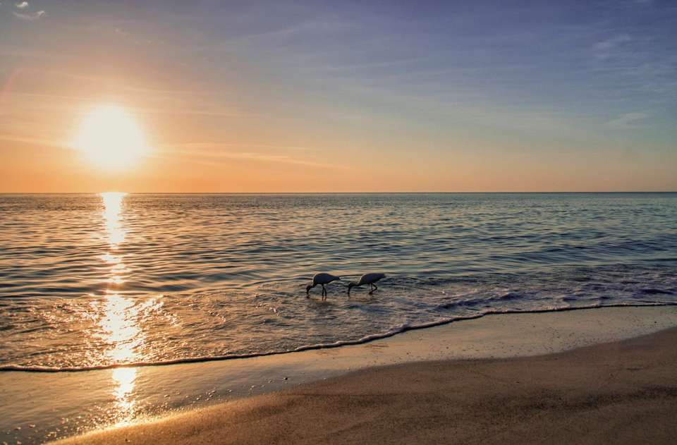 New York to Miami & Orlando - 11 days  - On The Go Tours - USA - Image 9