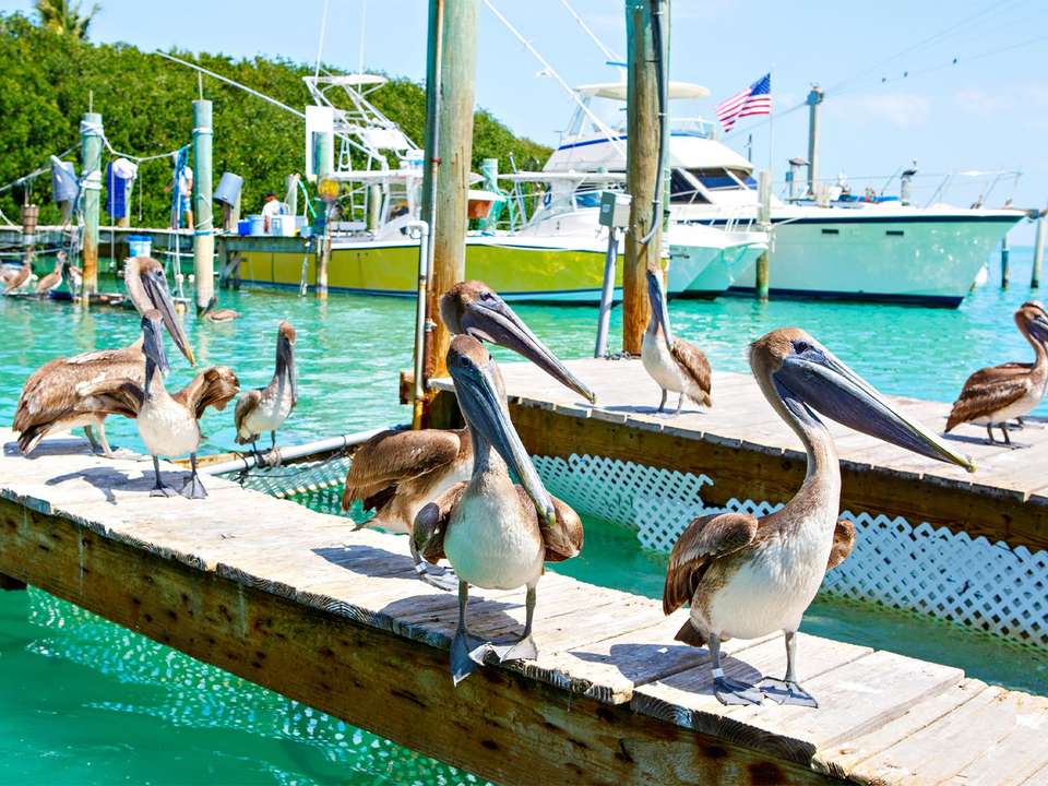 New York to Miami & Orlando - 11 days  - On The Go Tours - USA - Image 11