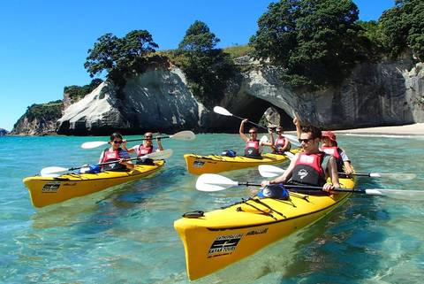 Guided And Escorted Tours: New Zealand Amplified (southbound)