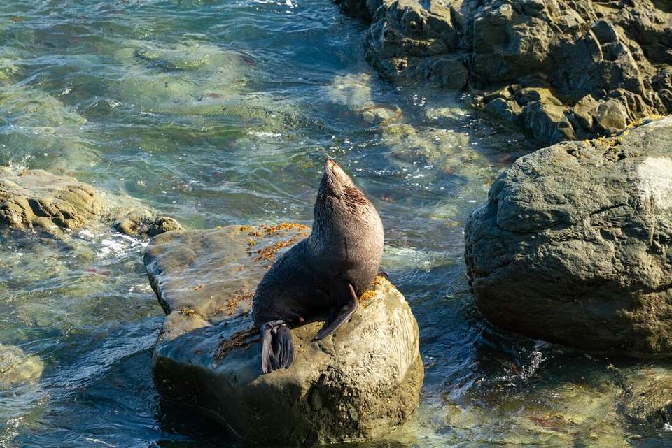 New Zealand Amplified (Southbound) - Intrepid Travel - New Zealand