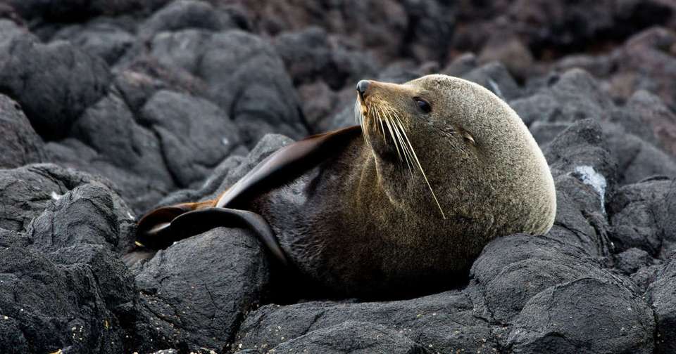 New Zealand Explorer - Explore - New Zealand - Image 13