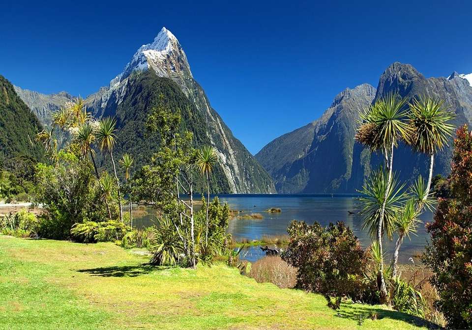 New Zealand Explorer - Indus Travels - New Zealand - Image 4
