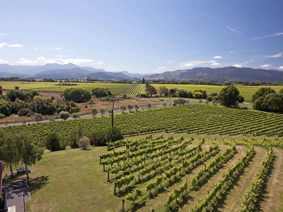 New Zealand Grand Discovery (Superior) - 16 days - On The Go Tours - New Zealand - Image 9
