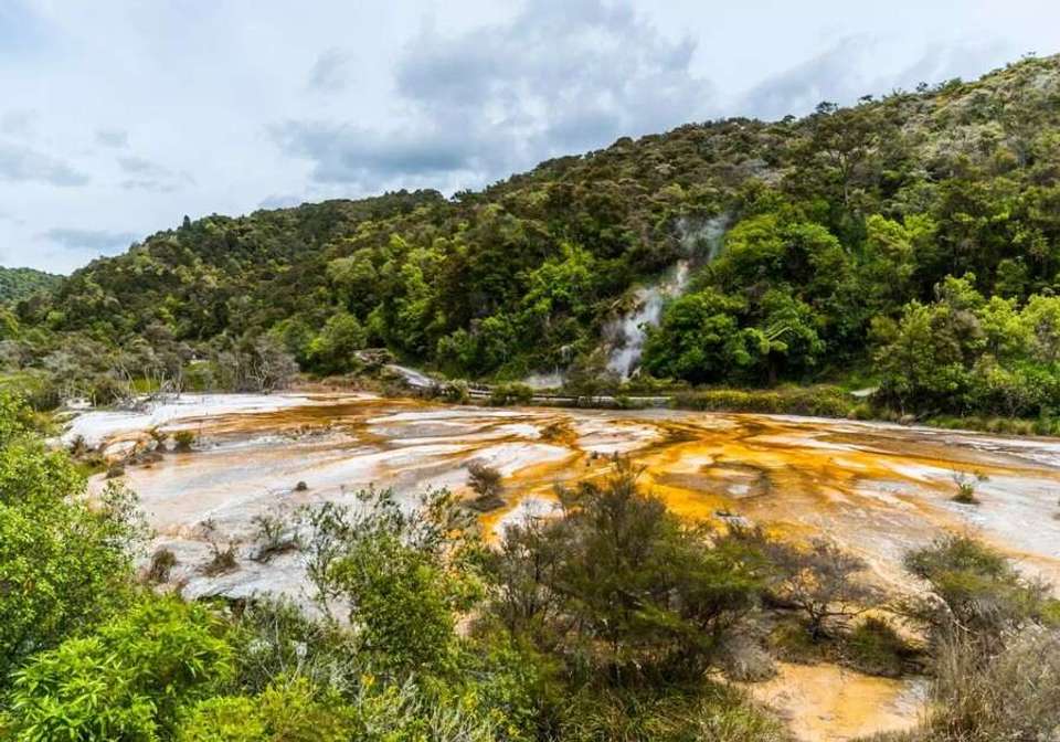 New Zealand Iconic North Route - Indus Travels - New Zealand - Image 7