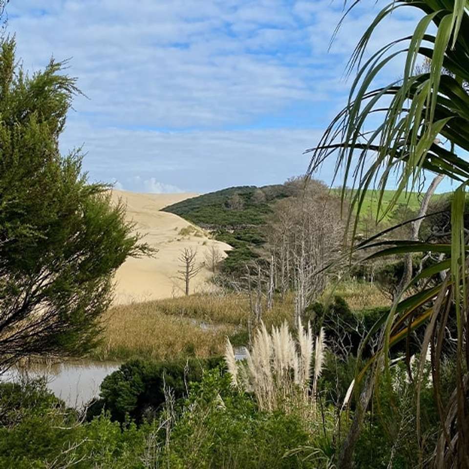 New Zealand North Island: Haka & Hot Springs - Topdeck - New Zealand