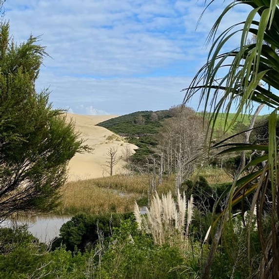 Image 2 of 5