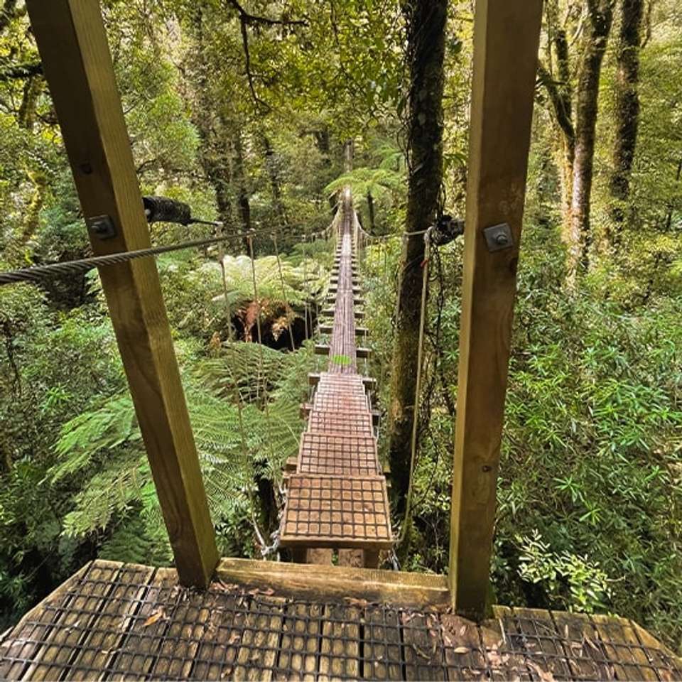 New Zealand North Island: Haka & Hot Springs - Topdeck - New Zealand