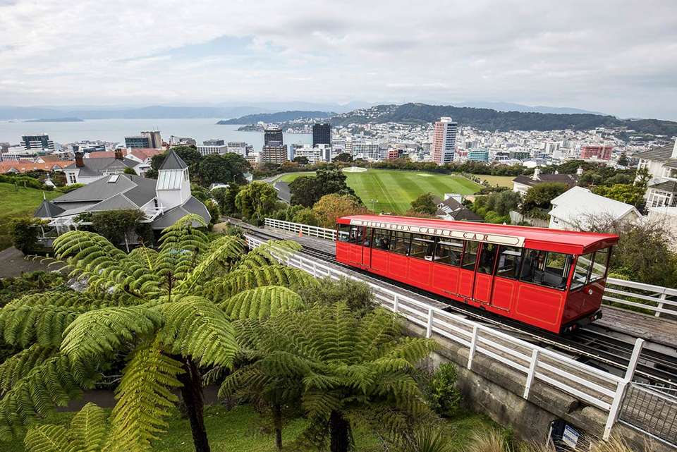 New Zealand Northern Trail (Northbound) - Intrepid Travel - New Zealand - Image 4