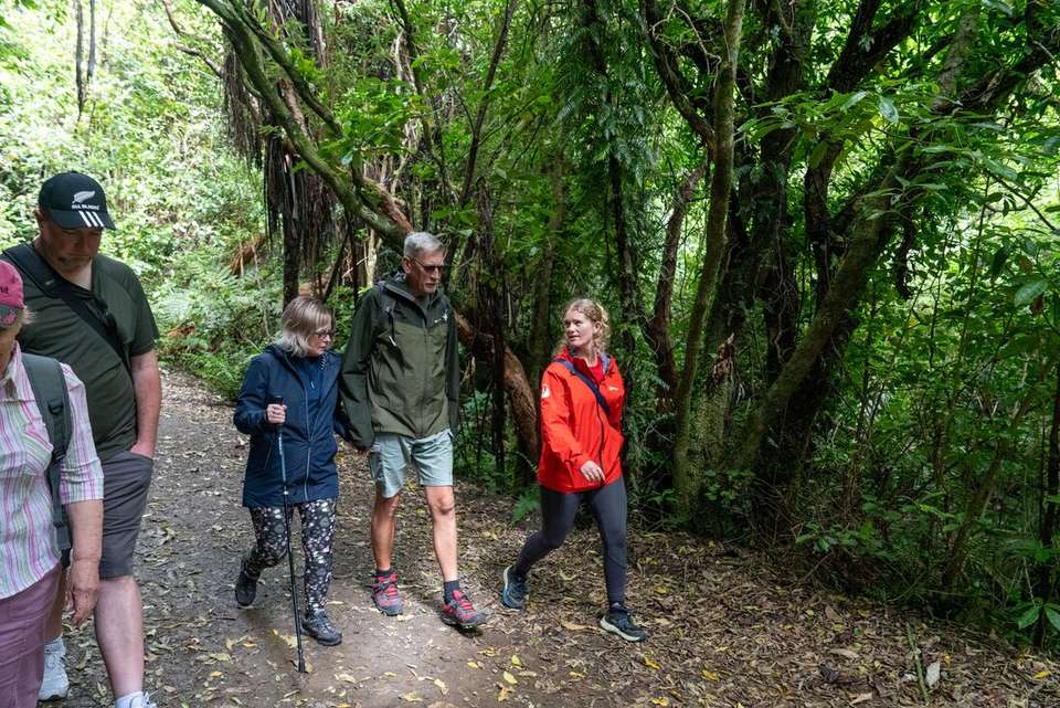 New Zealand Northern Trail (Northbound) - Intrepid Travel - New Zealand - Image 8