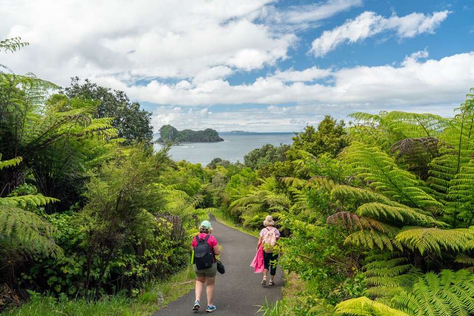 New Zealand Northern Trail (Northbound) - Intrepid Travel - New Zealand - Image 10