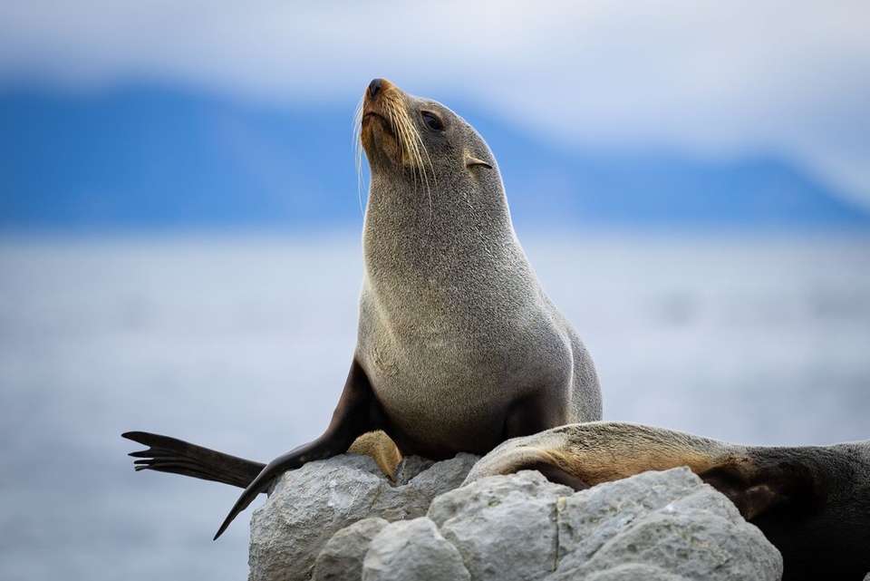 New Zealand's North to South Island Adventure - Intrepid Travel - New Zealand - Image 12