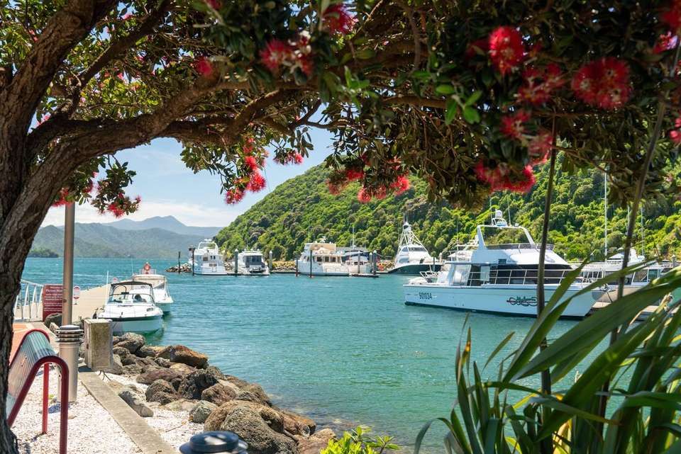 New Zealand's North to South Island Adventure - Intrepid Travel - New Zealand - Image 6