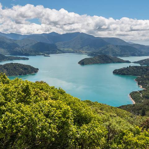 New Zealand Guided And Escorted Tours: New Zealand's Southern Drift