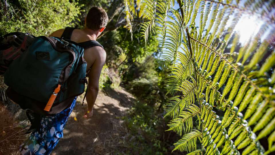 New Zealand: South Island Encompassed - G Adventures - New Zealand