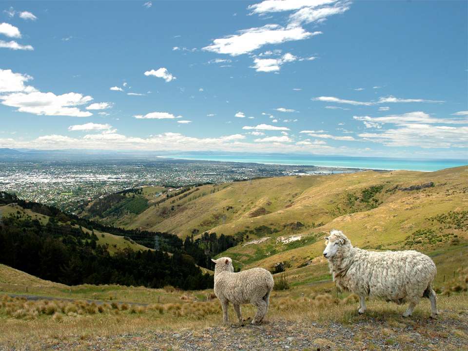 New Zealand: South Island Encompassed - G Adventures - New Zealand