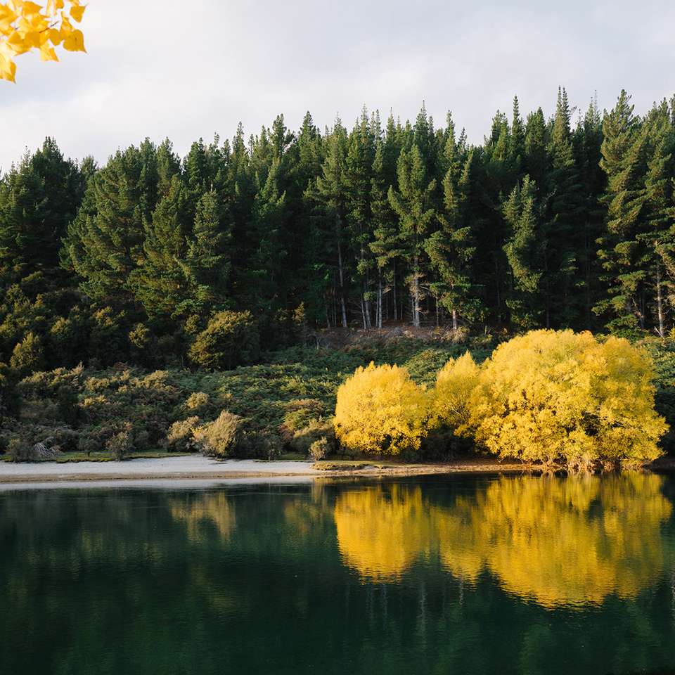 New Zealand South Island Highlights - undefined - Image 2