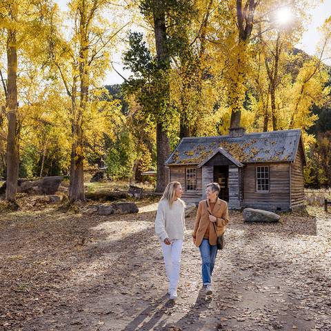 New Zealand South Island Splendour - Spring Tours