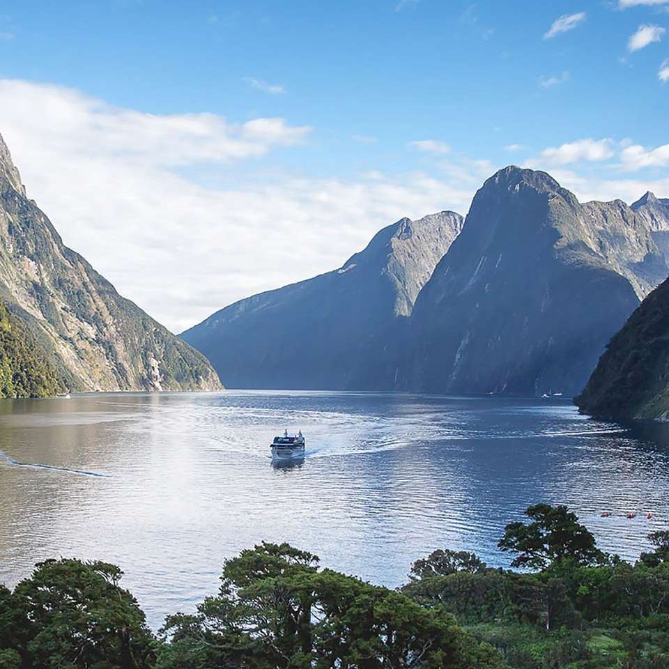 New Zealand Uncovered - Aat Kings - New Zealand - Image 4