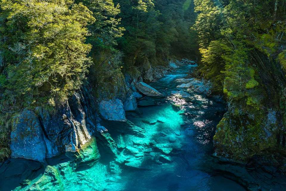 New Zealand West Coast Adventure - Intrepid Travel - New Zealand - Image 5