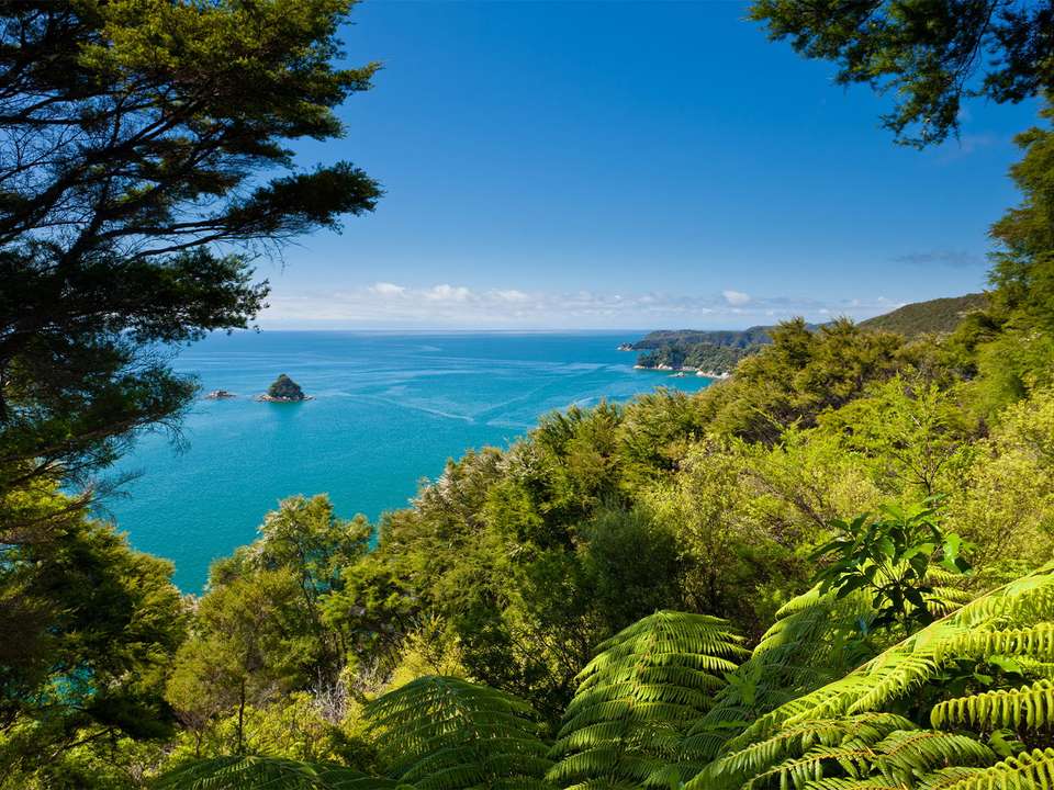 New Zealand Wonders - 20 days - undefined - Image 10