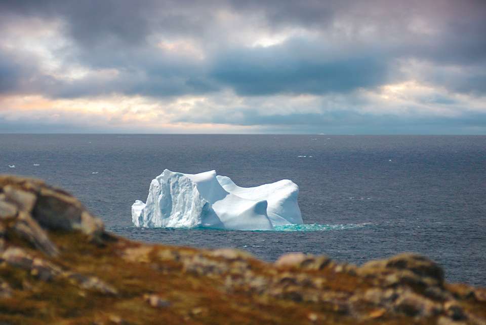 Newfoundland Adventure: Eastbound - Intrepid Travel - Canada - Image 5
