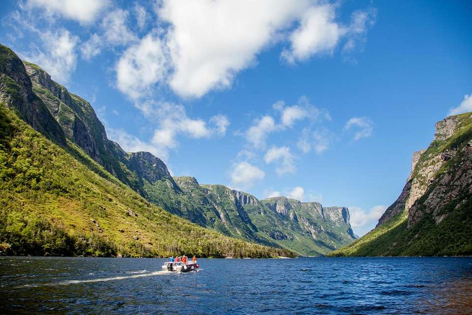 Newfoundland Adventure: Eastbound - Intrepid Travel - Canada - Image 7