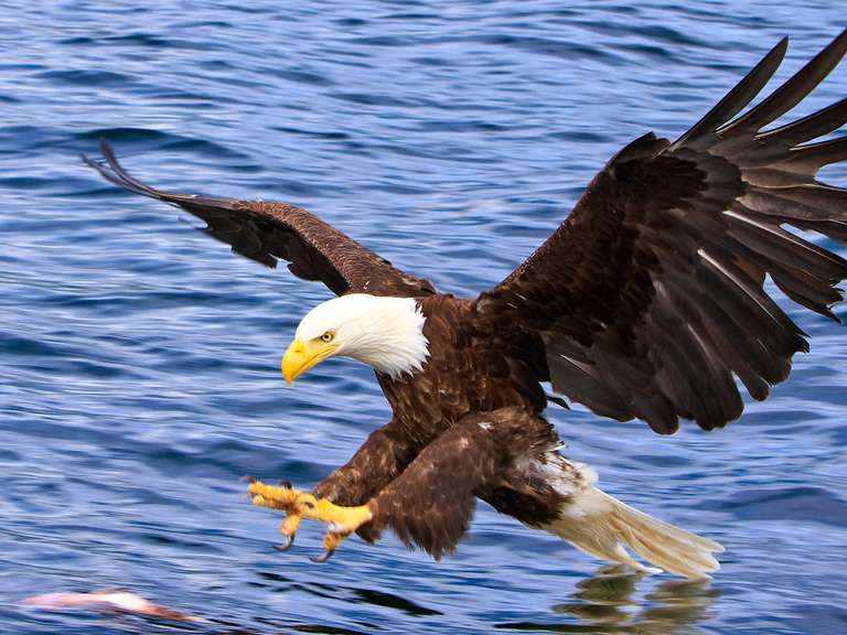 Newfoundland Discovery (Small Group) - 9 days trip - alternative tour available