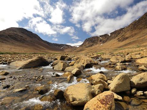 Canada Eco Tours: Newfoundland Explorer (small Group) - 12 Days
