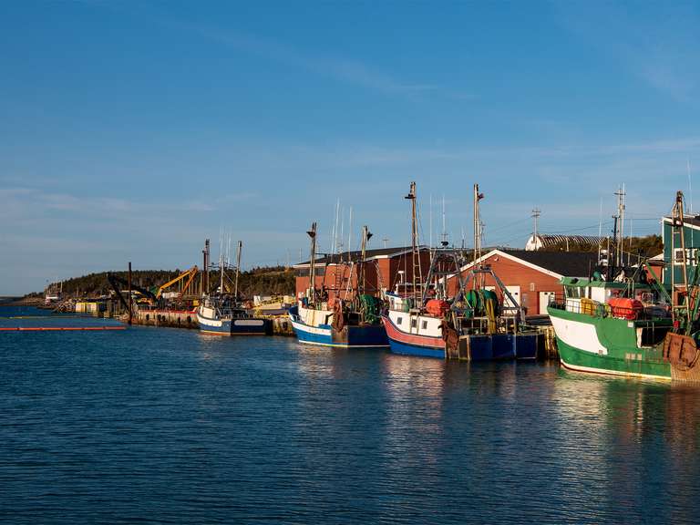 Newfoundland Viking Trail From Corner Brook - 7 days trip - alternative tour available