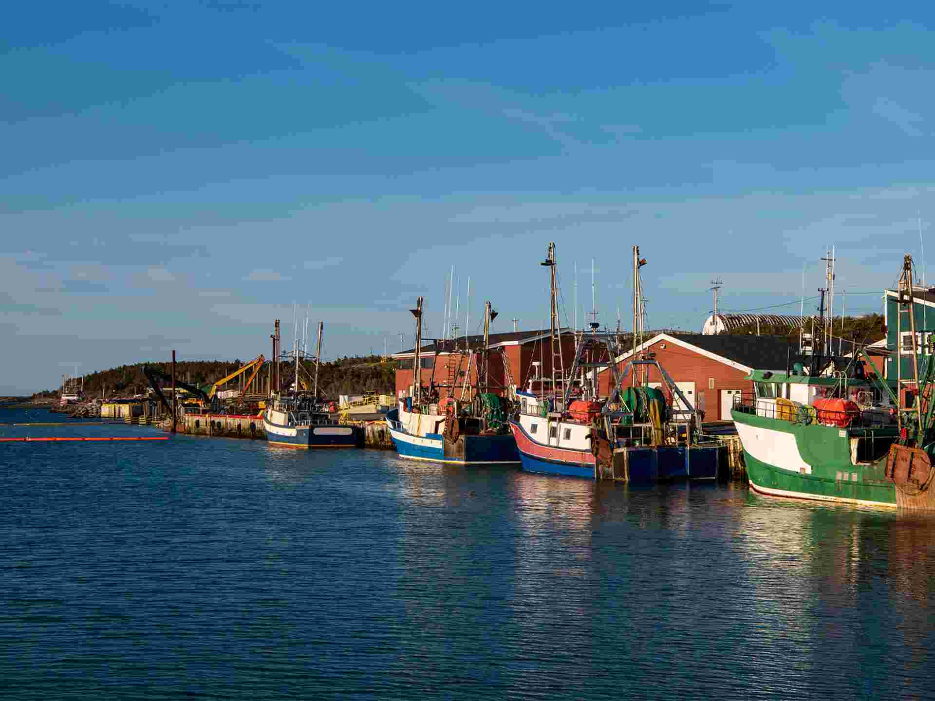 Newfoundland Viking Trail From Corner Brook (Small Group) - 7 days
