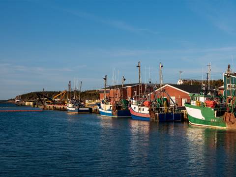Newfoundland Viking Trail From Corner Brook (small Group) - 7 Days - 7 Days