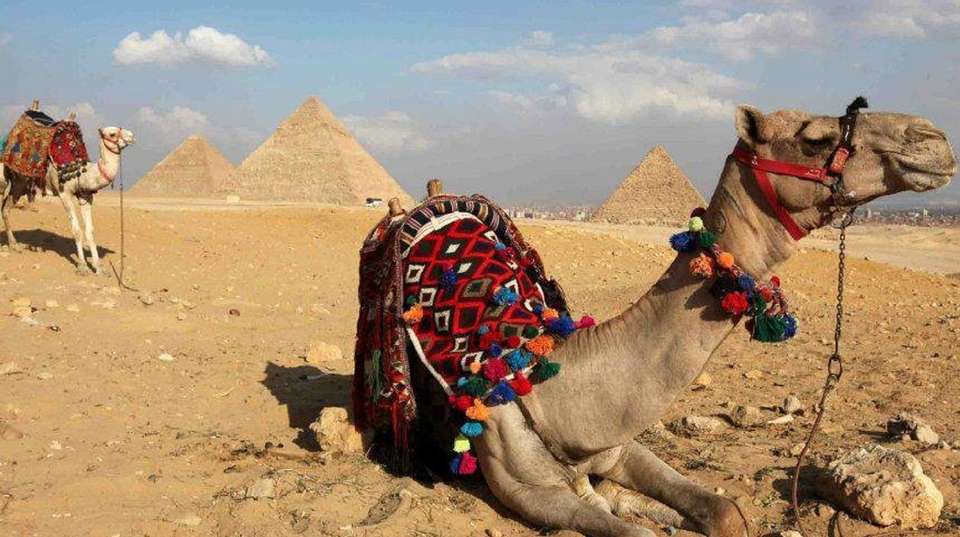 Nile Adventure: Felucca Cruise & the Red Sea - Timeless Tours - Egypt - Image 5