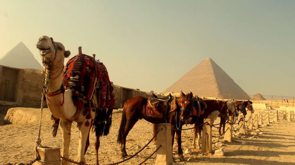 Nile Jewel 5* Nile Cruise - Timeless Tours - Egypt - Image 6