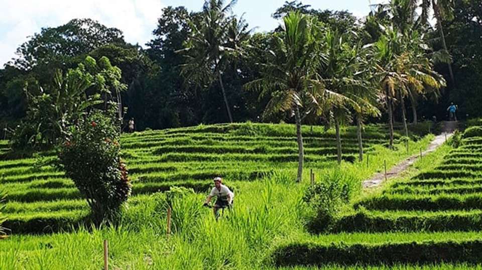 Nine Day Enduro: Bali & East Java  - Infinity Mountain Biking - Indonesia - Image 7