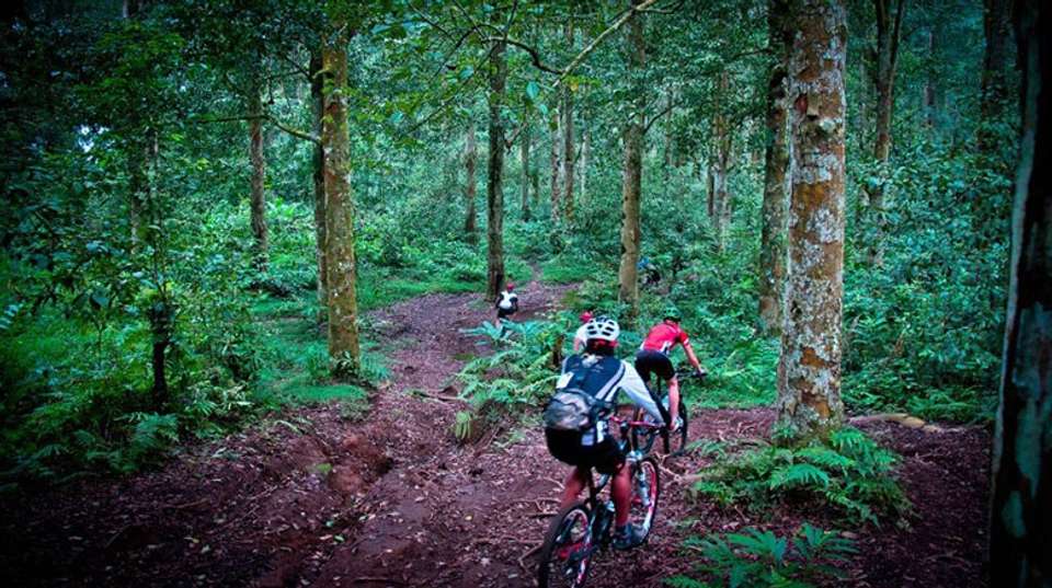 Nine Day Enduro: Bali & East Java  - Infinity Mountain Biking - Indonesia - Image 8