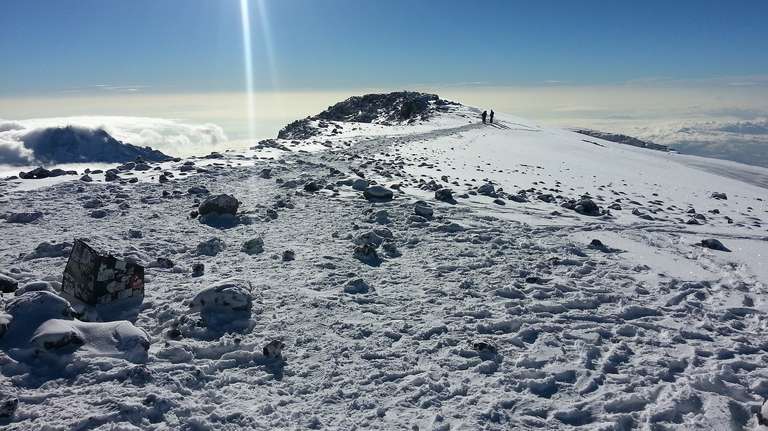 Nine-Day Kilimanjaro Climb Via Lemosho Route trip - alternative tour available