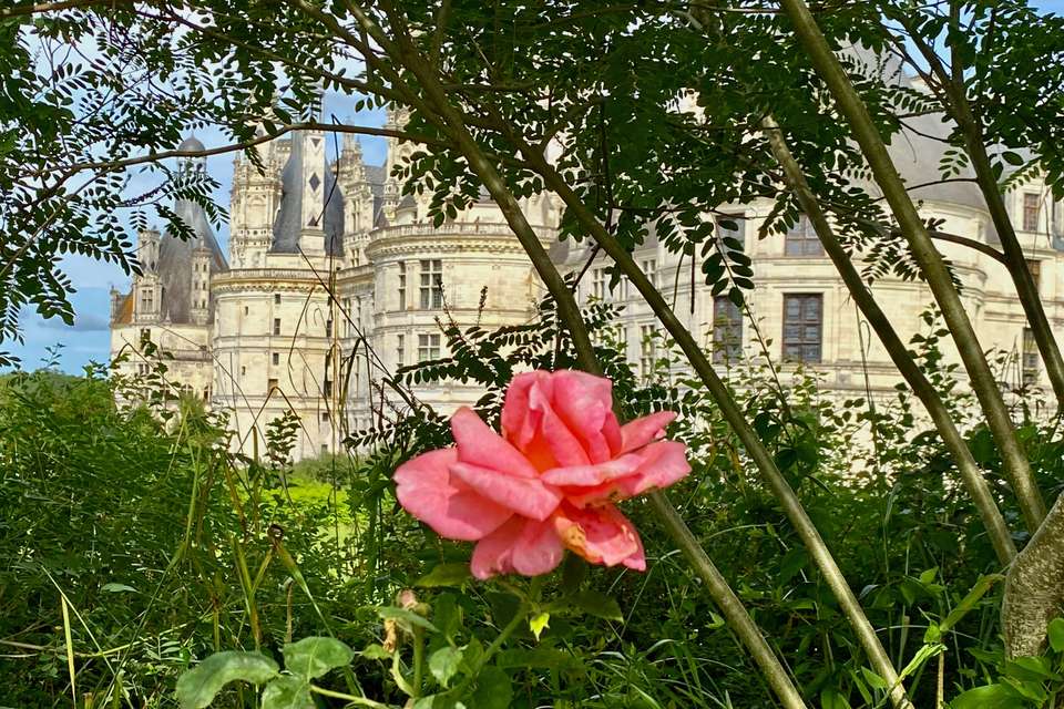 Normandy, Mont Saint-Michel & Loire Journey - 3 days - undefined - Image 12