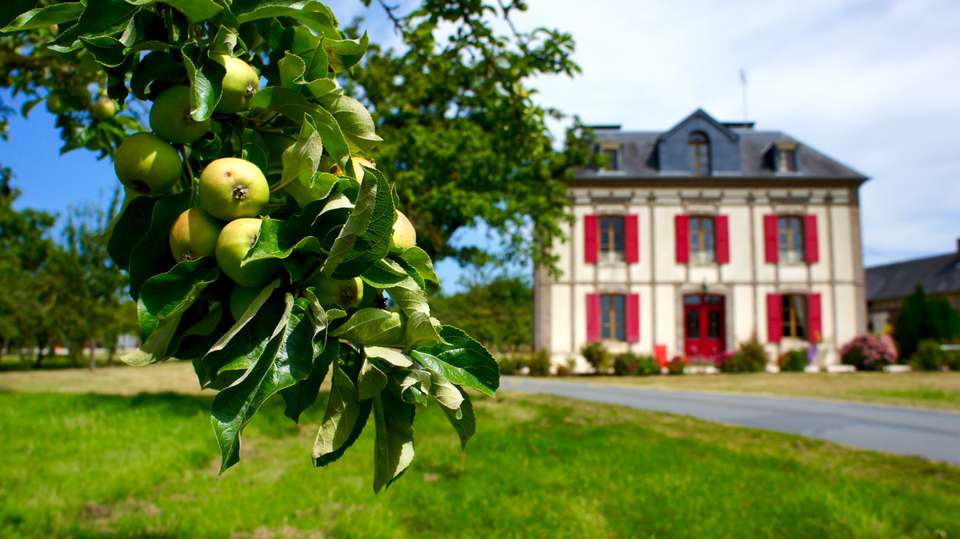 Normandy Walk from Deauville to Bayeux - undefined - Image 2